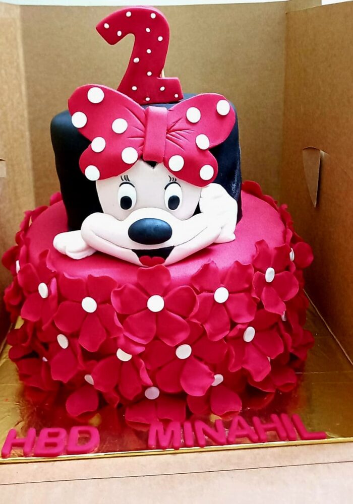 Mini-Mouse-Cakes (10)